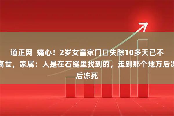 道正网  痛心！2岁女童家门口失踪10多天已不幸离世，家属：人是在石缝里找到的，走到那个地方后冻死
