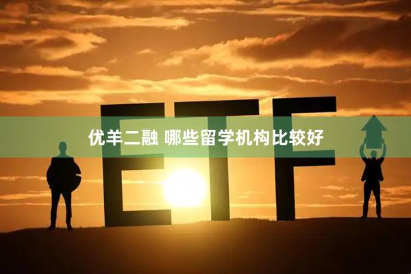 优羊二融 哪些留学机构比较好