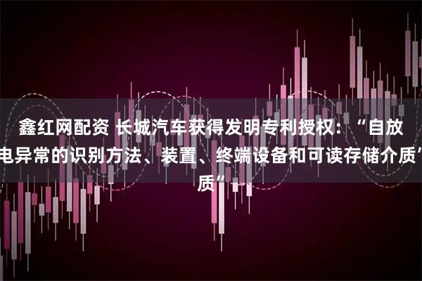 鑫红网配资 长城汽车获得发明专利授权:“自放电异常的识别方法、装置、终端设备和可读存储介质”