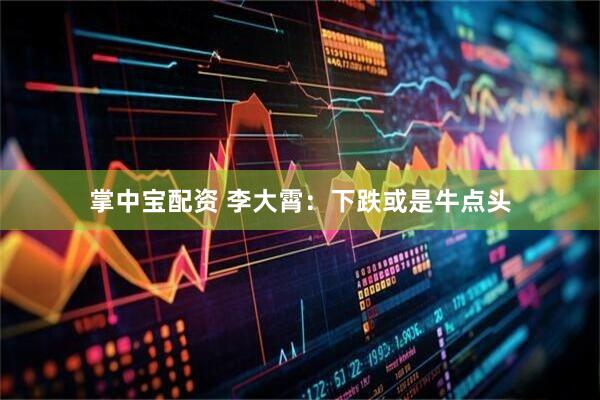 掌中宝配资 李大霄：下跌或是牛点头