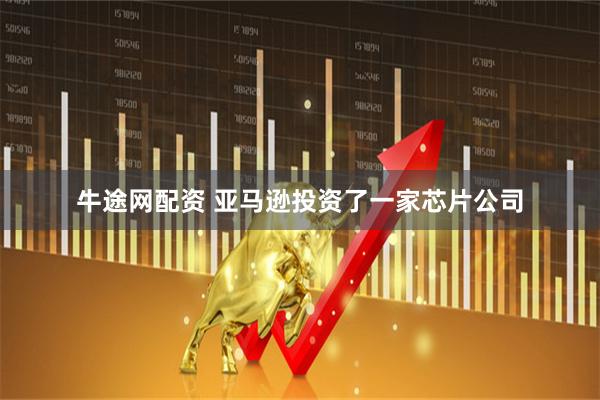 牛途网配资 亚马逊投资了一家芯片公司