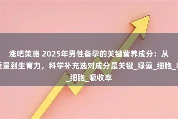 涨吧策略 2025年男性备孕的关键营养成分：从精子质量到生育力，科学补充选对成分是关键_绿藻_细胞_吸收率