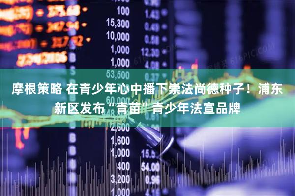摩根策略 在青少年心中播下崇法尚德种子！浦东新区发布“青苗”青少年法宣品牌